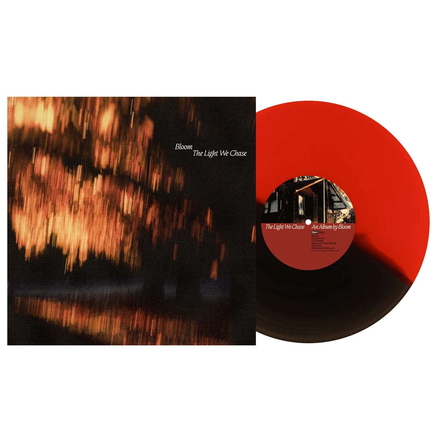 The Light We Chase - Image 2