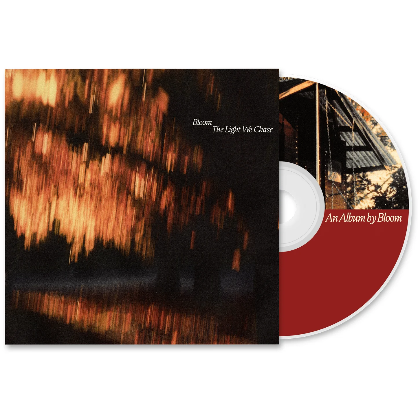 The Light We Chase - Image 4