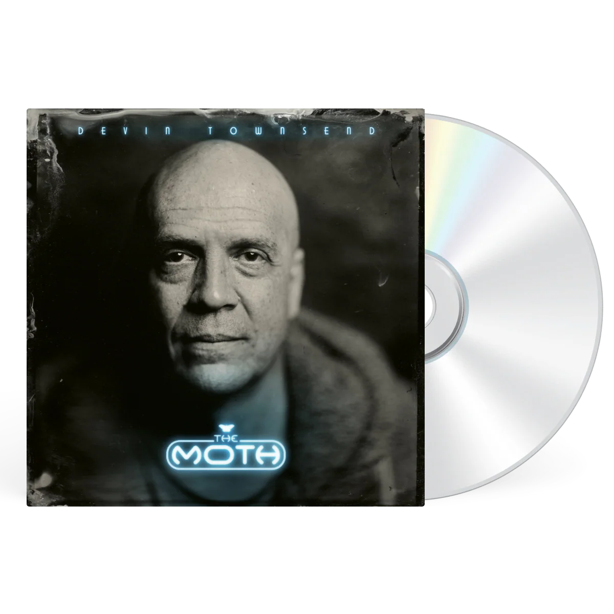The Moth - Image 5