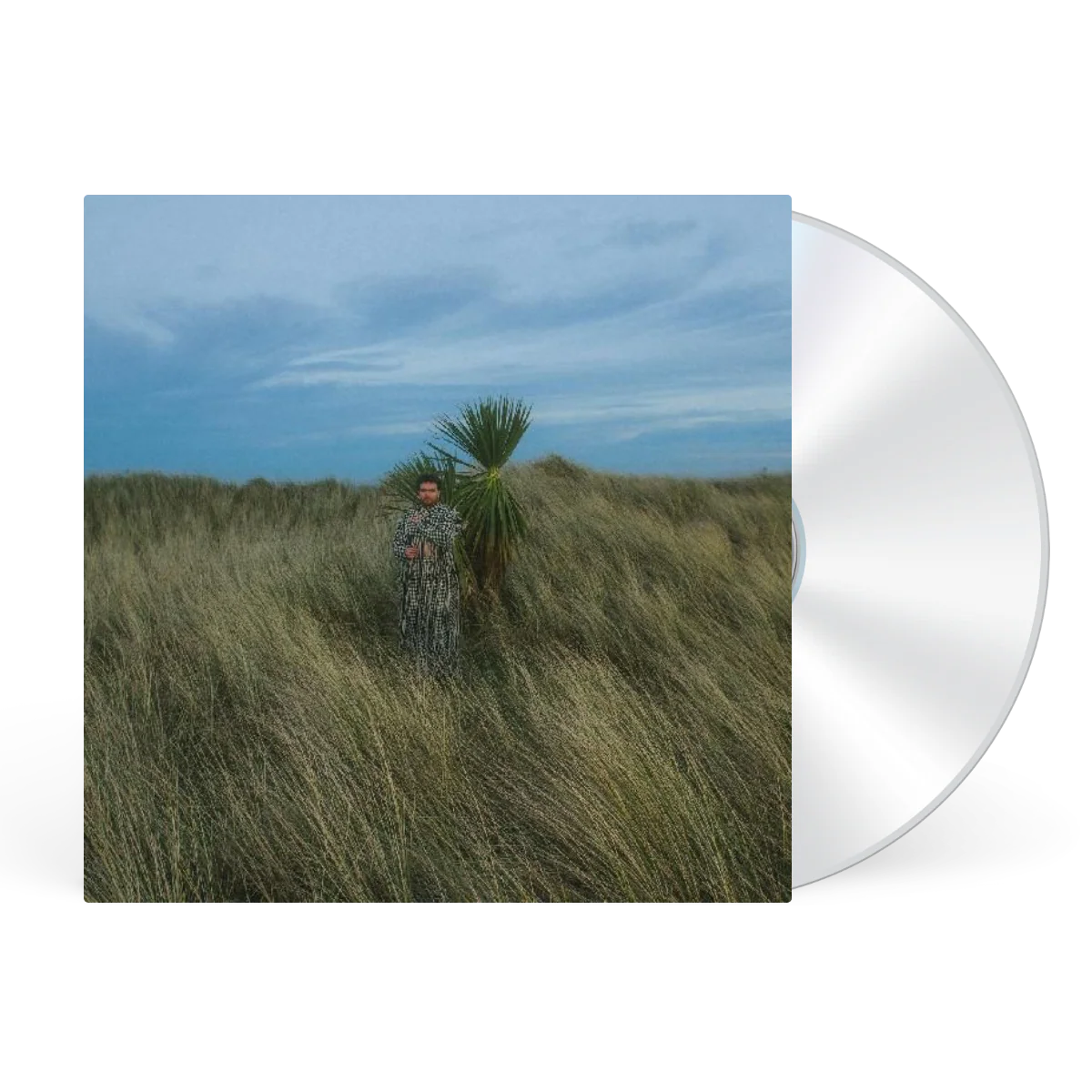 The Tension Between - RSD 2026 - Image 2