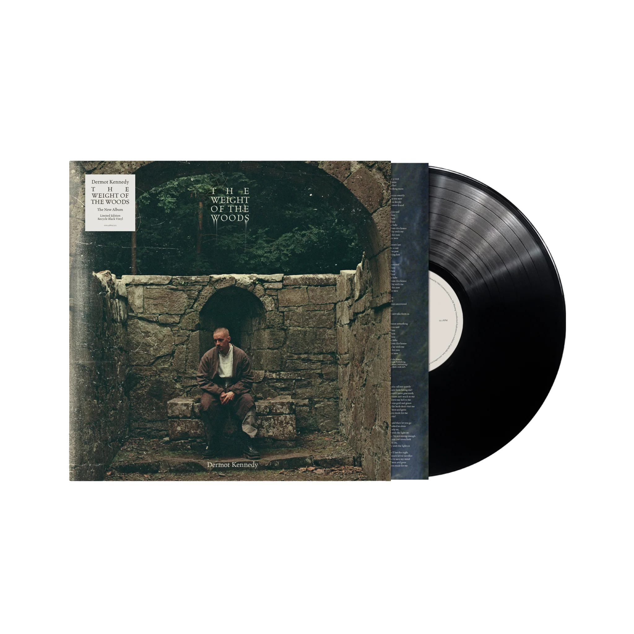 The Weight of the Woods - Image 2