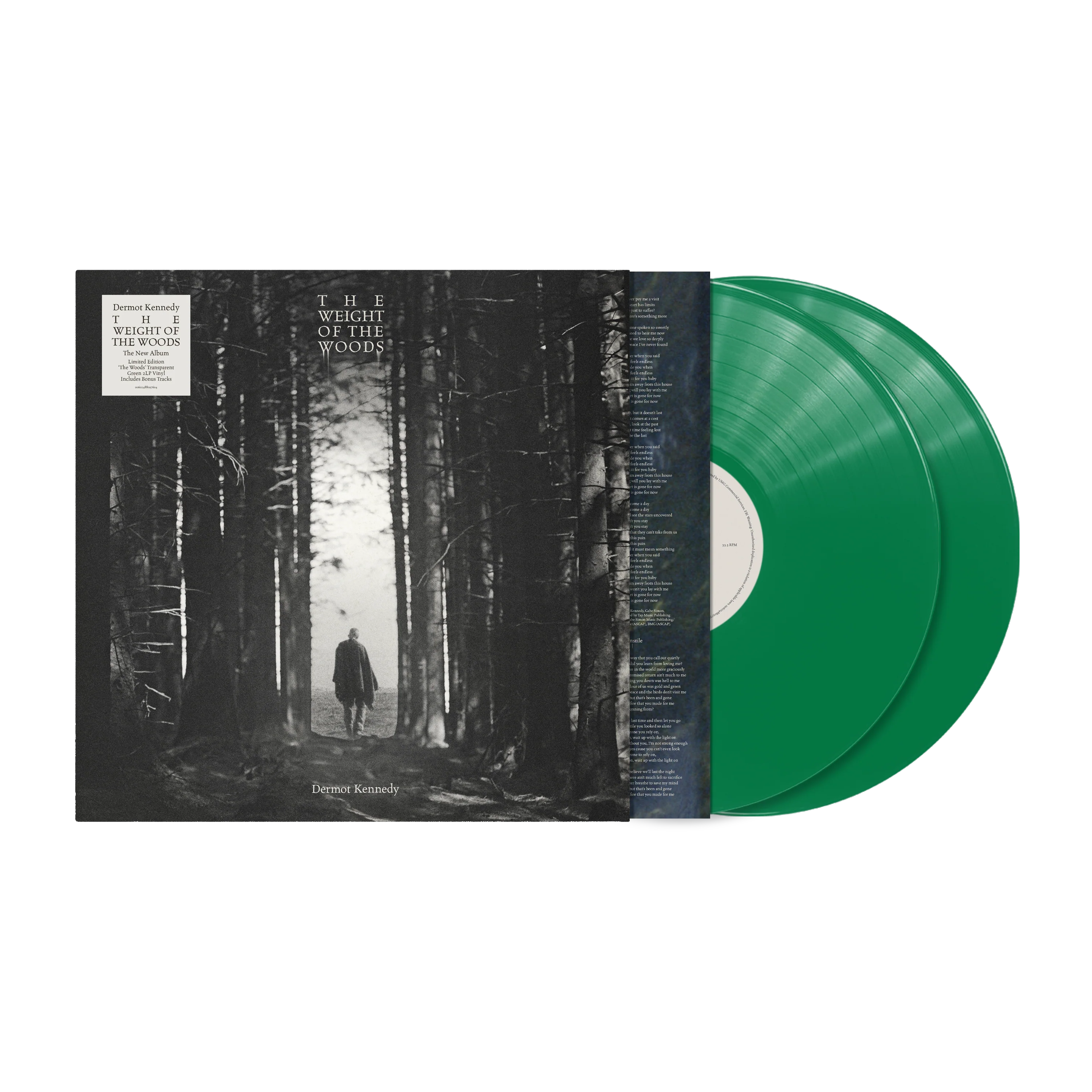 The Weight of the Woods - Image 4