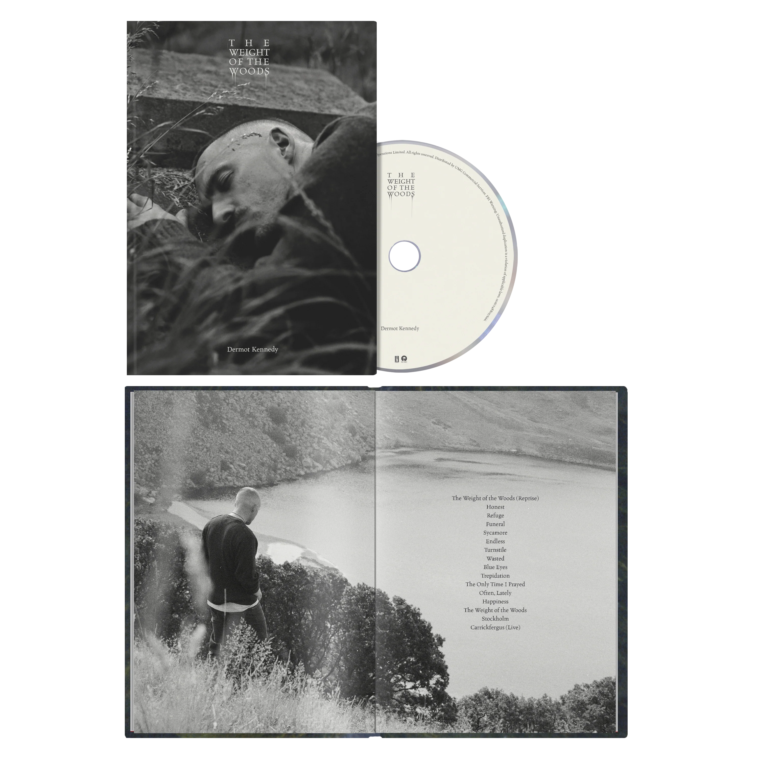 The Weight of the Woods - Image 5