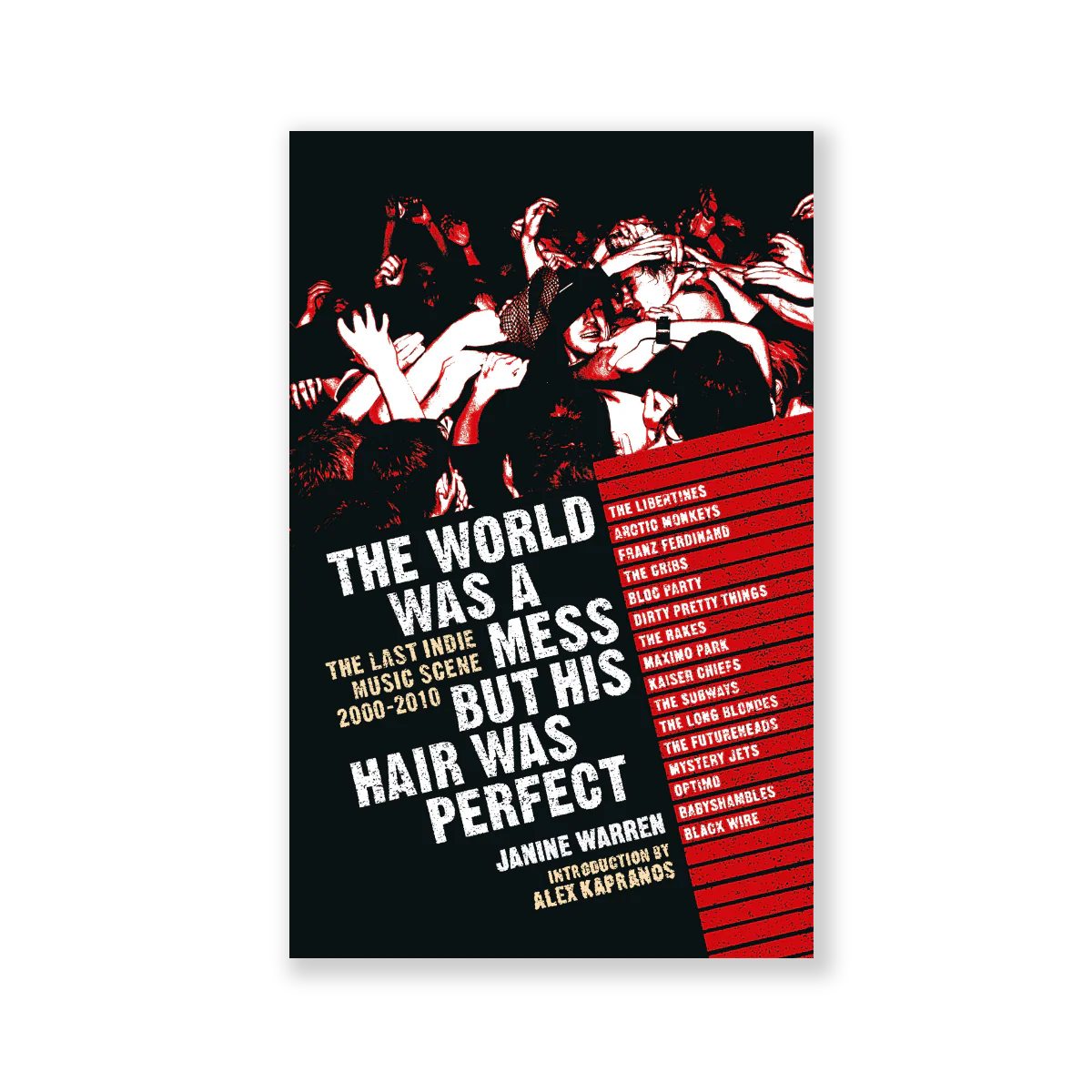 The World Was a Mess But His Hair Was Perfect: The Last Indie Music Scene 2000-2010 - Image 2