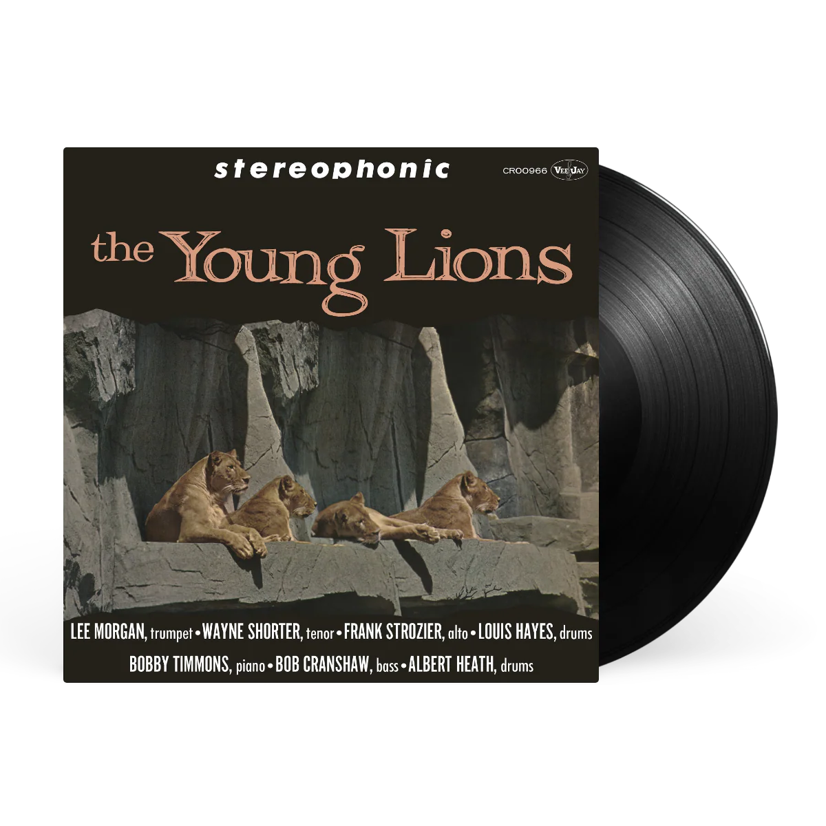 The Young Lions - Image 2