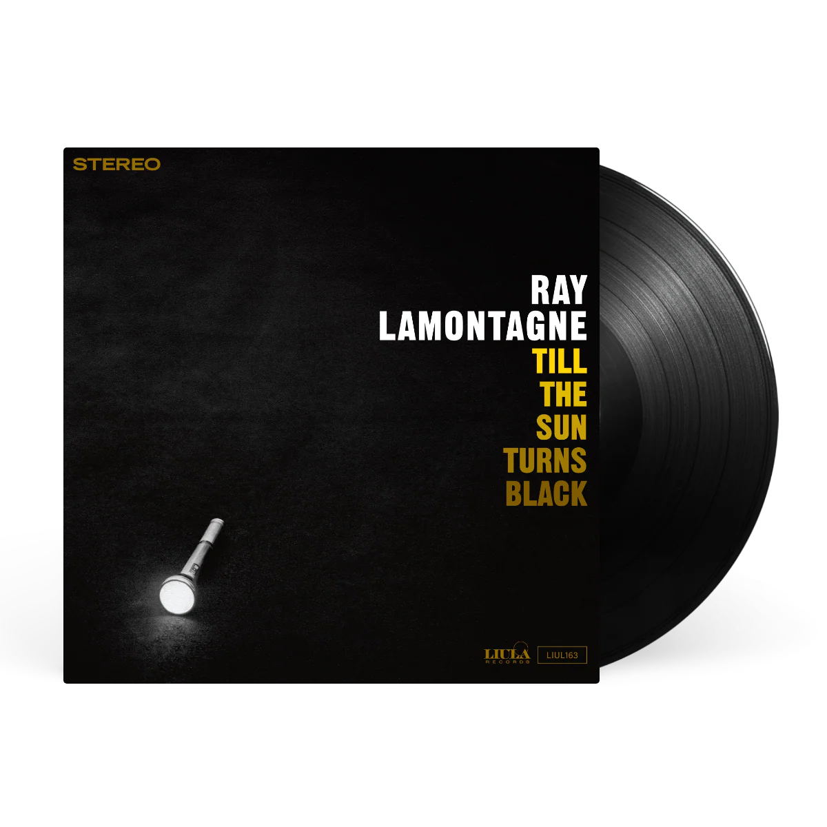 Till The Sun Turns Black - Image 2