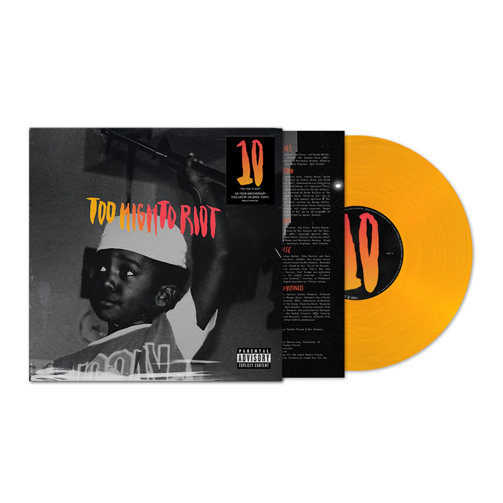 Too High To Riot (10-Year Anniversary) - Image 2