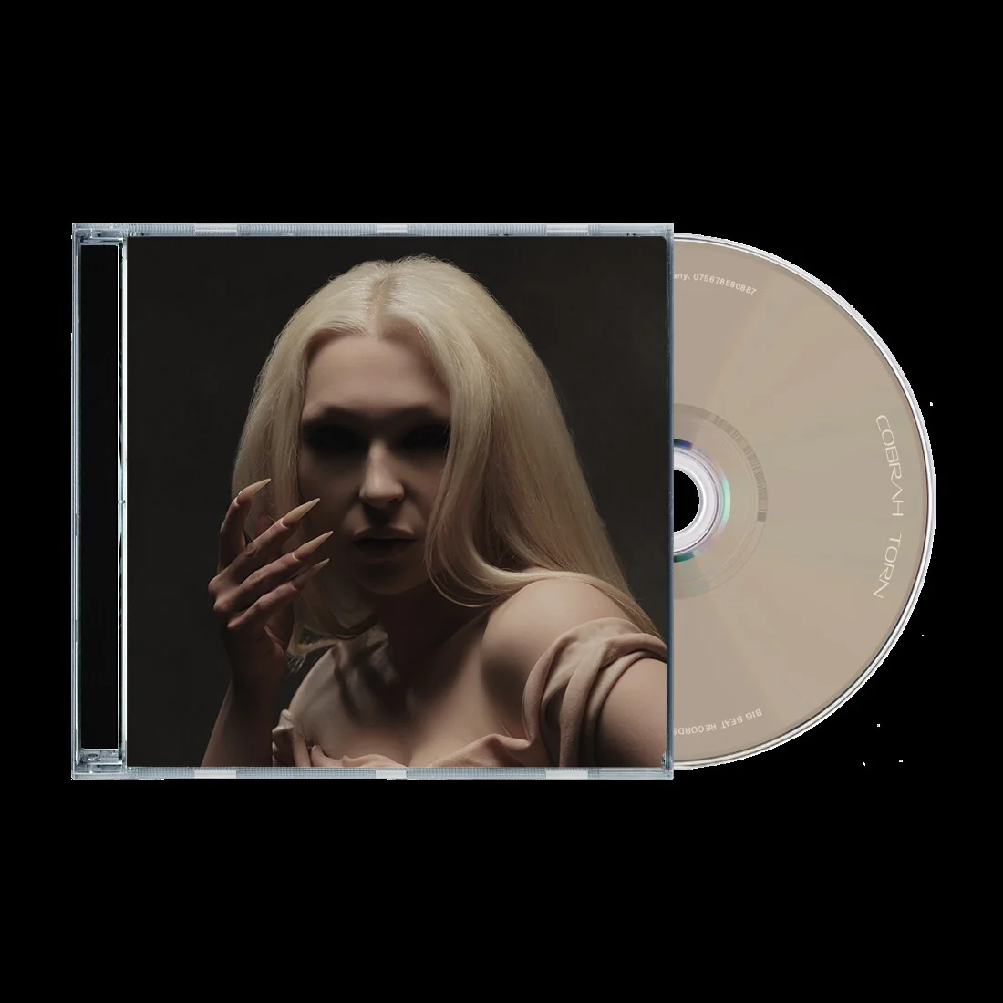 Torn - Image 3
