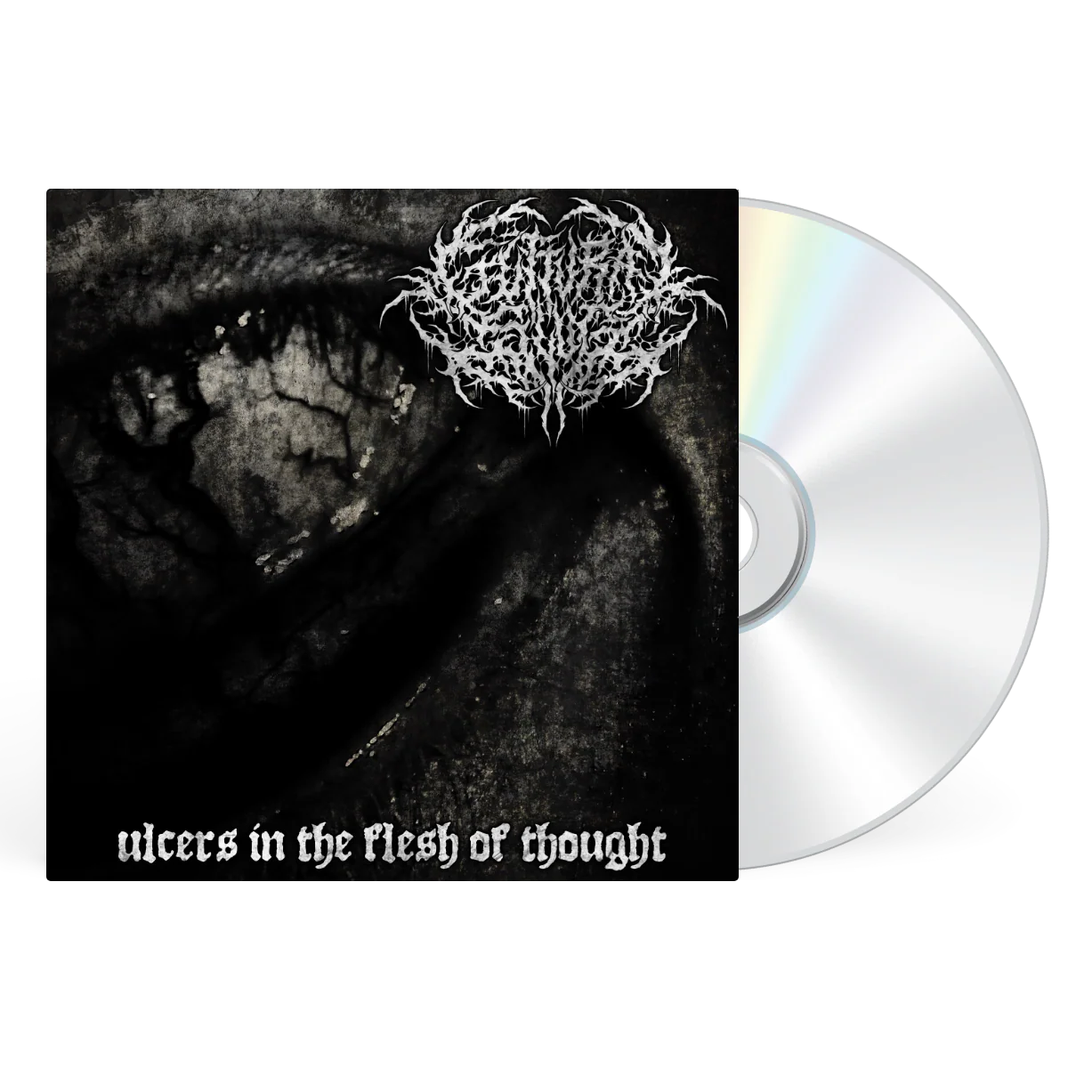 Ulcers In The Flesh of Thought - Image 2