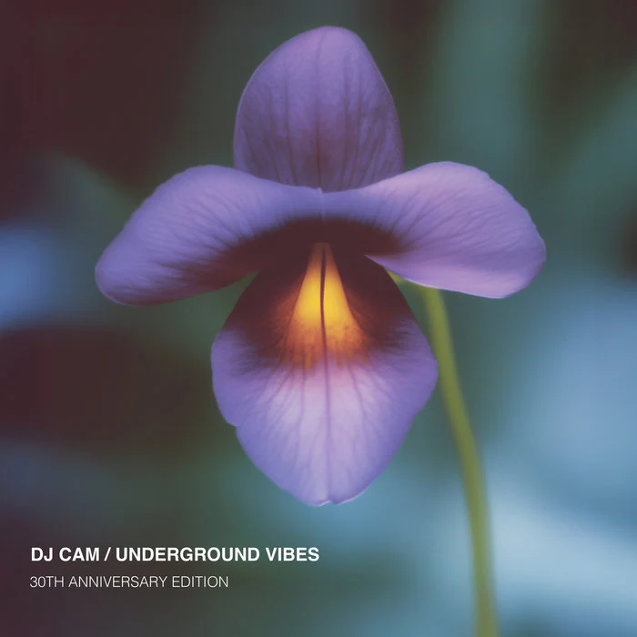 Underground Vibes (30th Anniversary)
