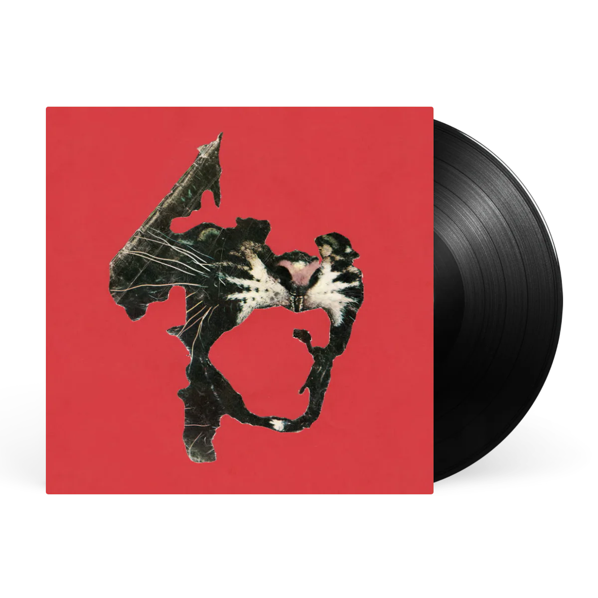 Violence - Image 2
