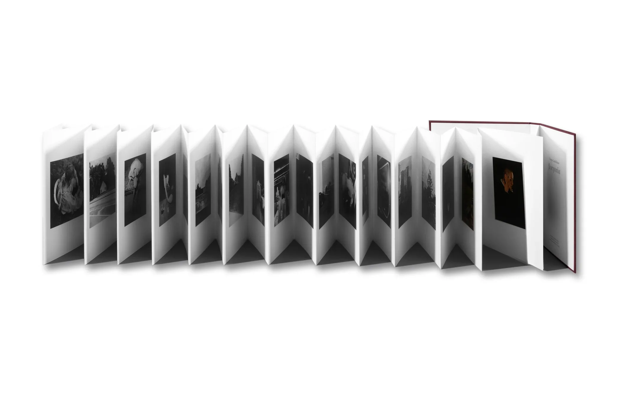 VISCIN - Image 2