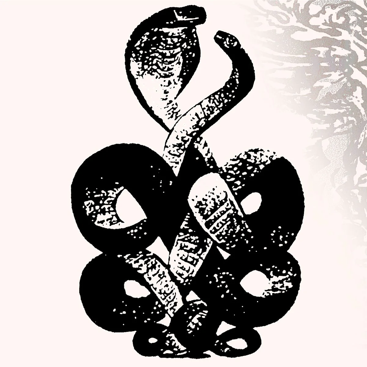 Volume 4 and 5 - Image 3