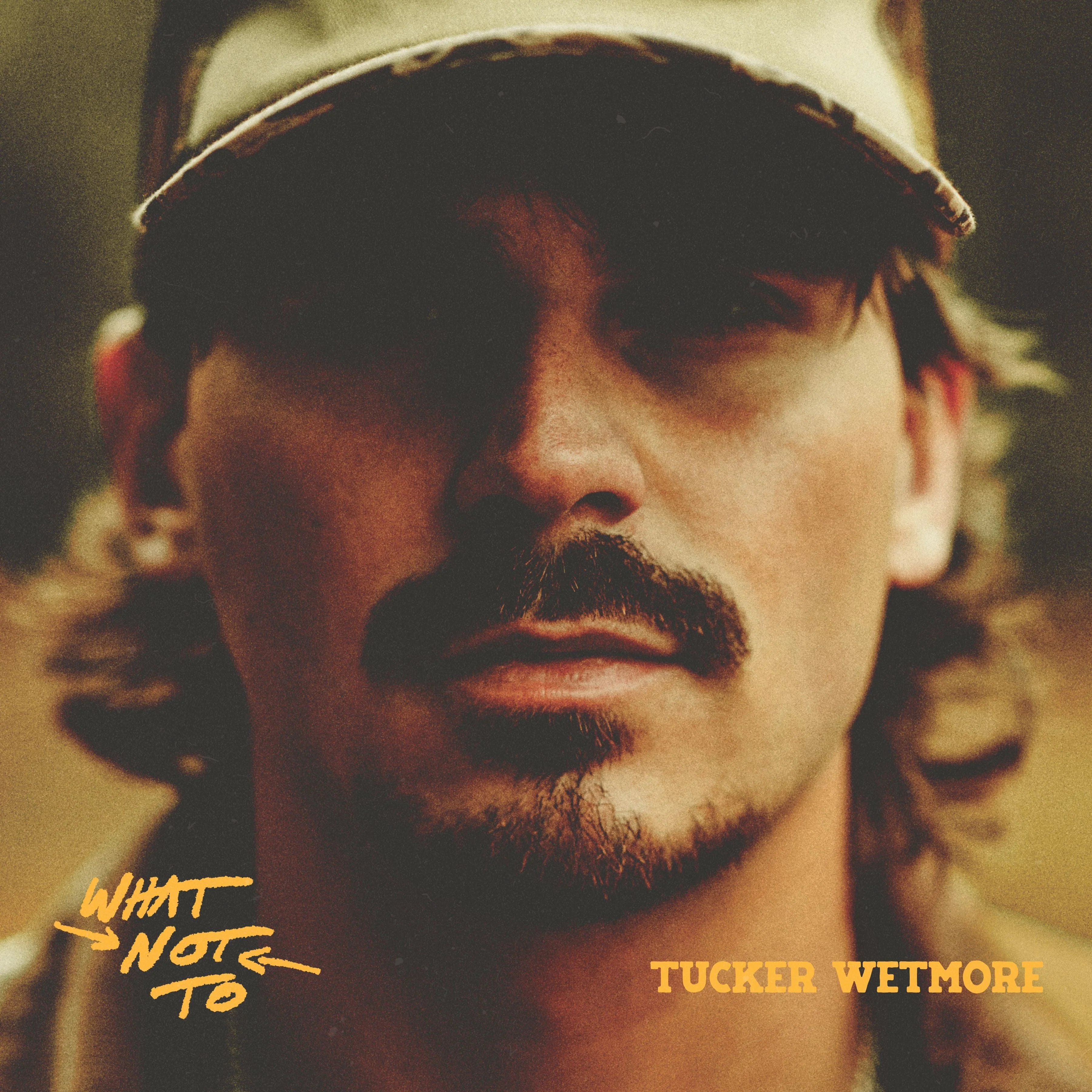 What Not To - Image 5