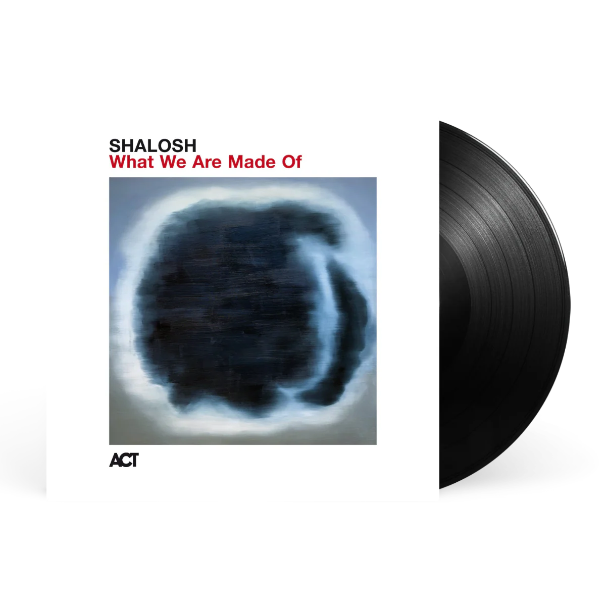 What We Are Made Of - Image 2