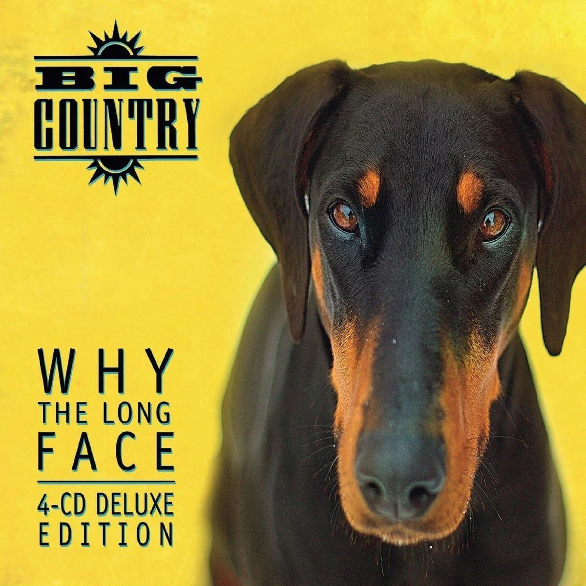 Why The Long Face - Deluxe and Expanded