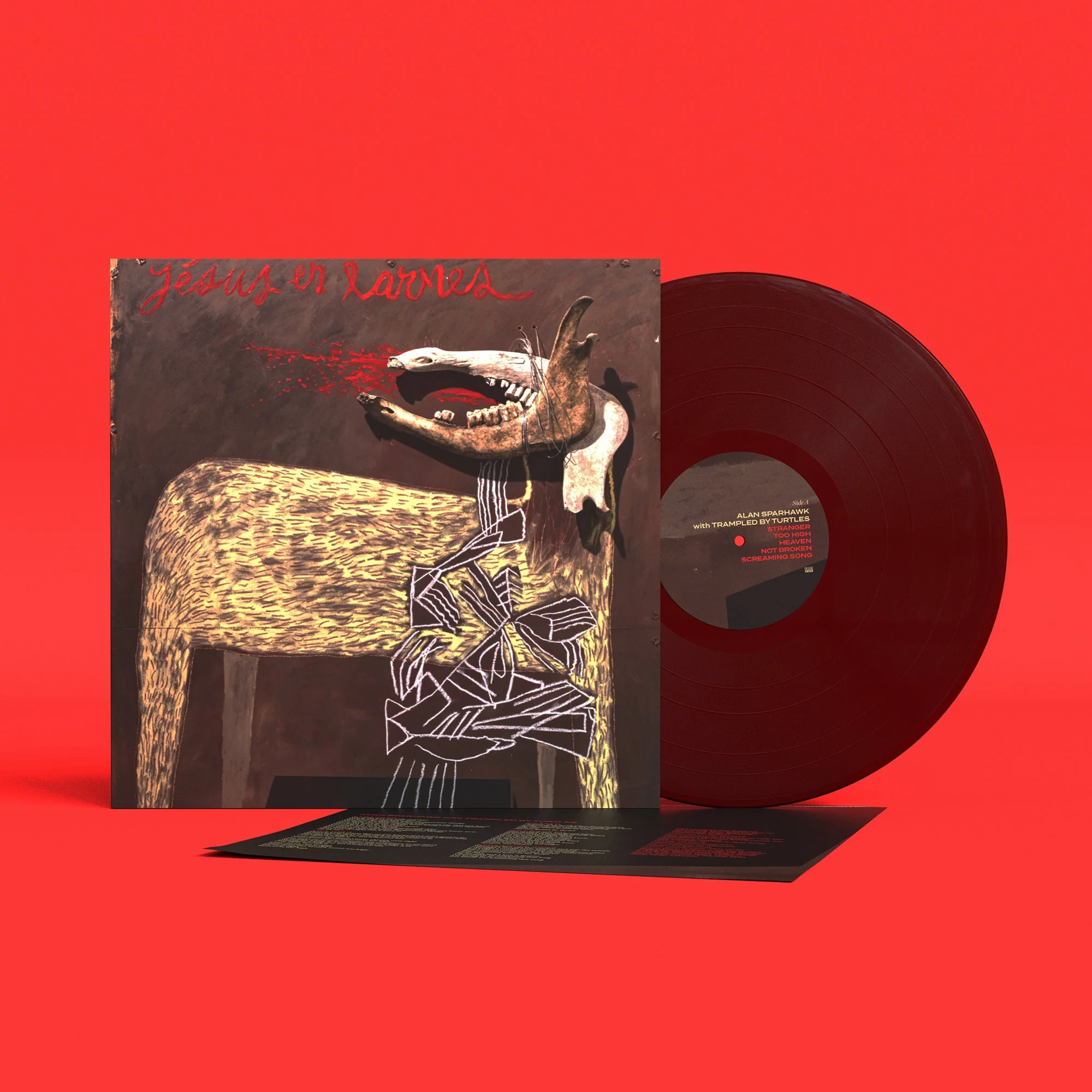 With Trampled By Turtles - Image 156