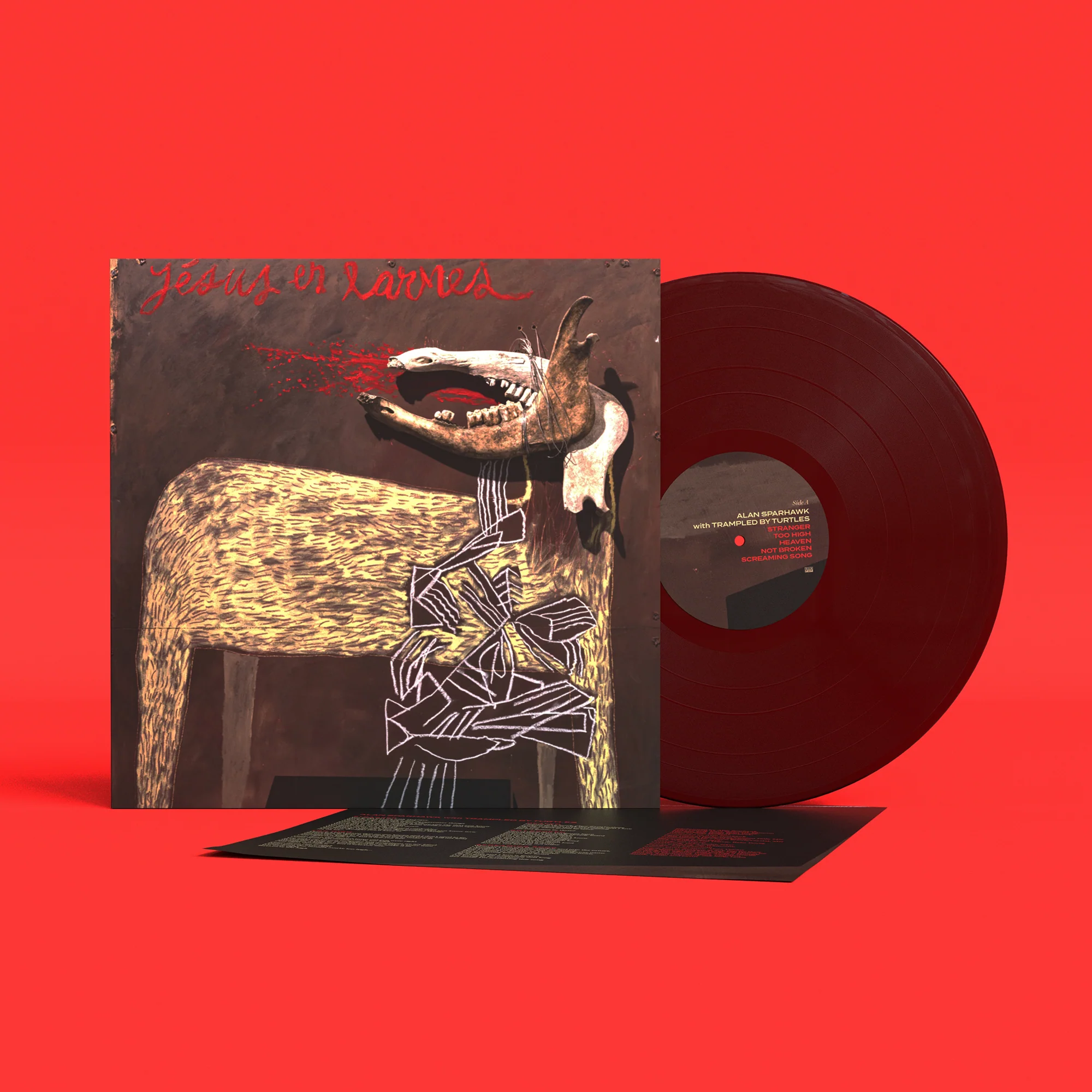 With Trampled By Turtles - Image 247