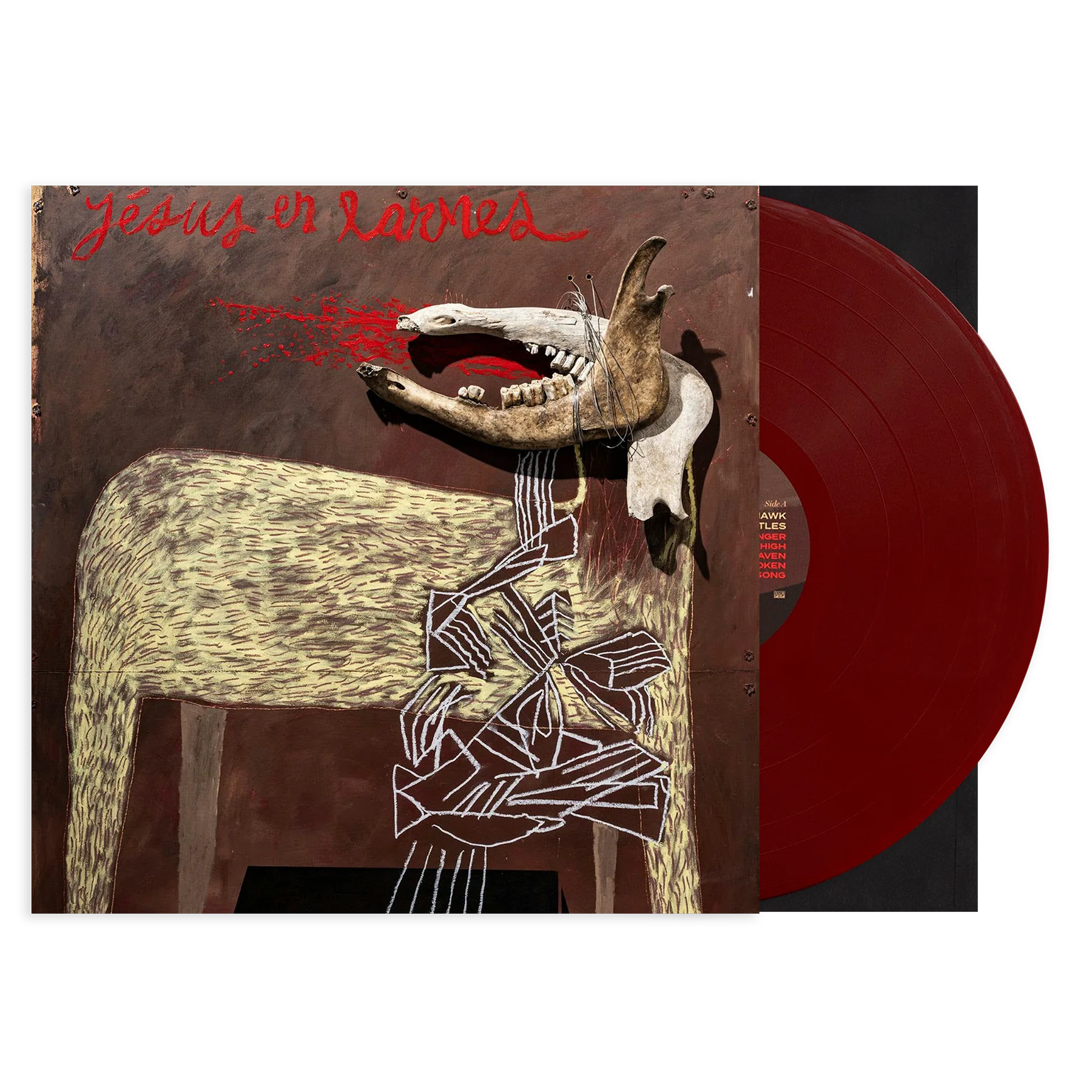 With Trampled By Turtles - Image 252