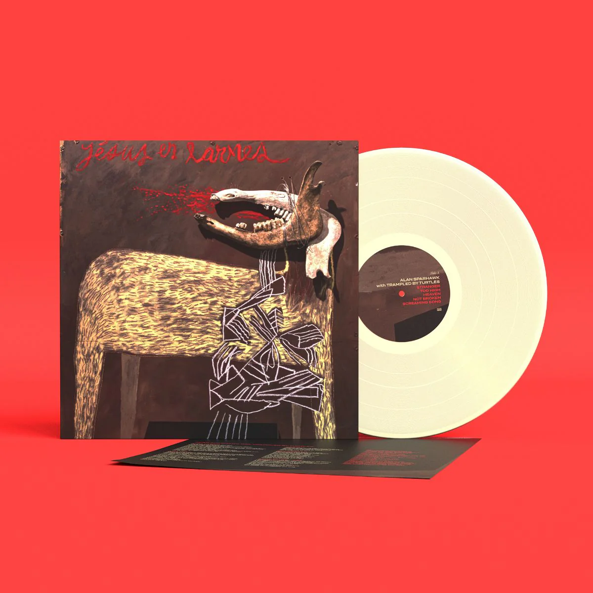 With Trampled By Turtles - Image 3