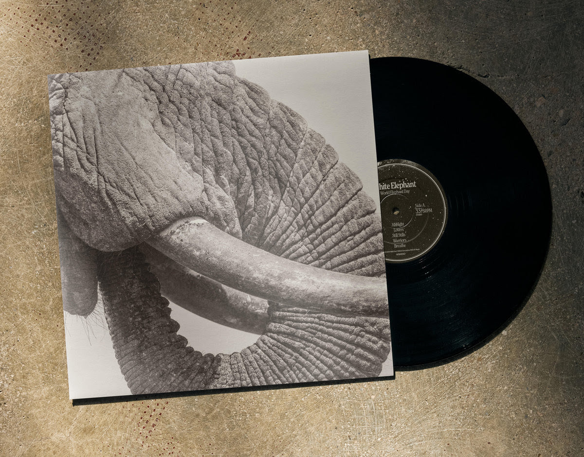 World Elephant Day - Image 2