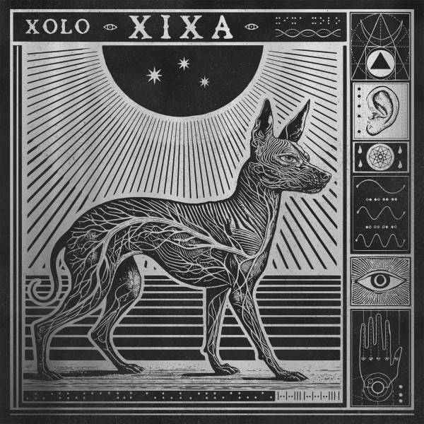 Xolo - Image 2