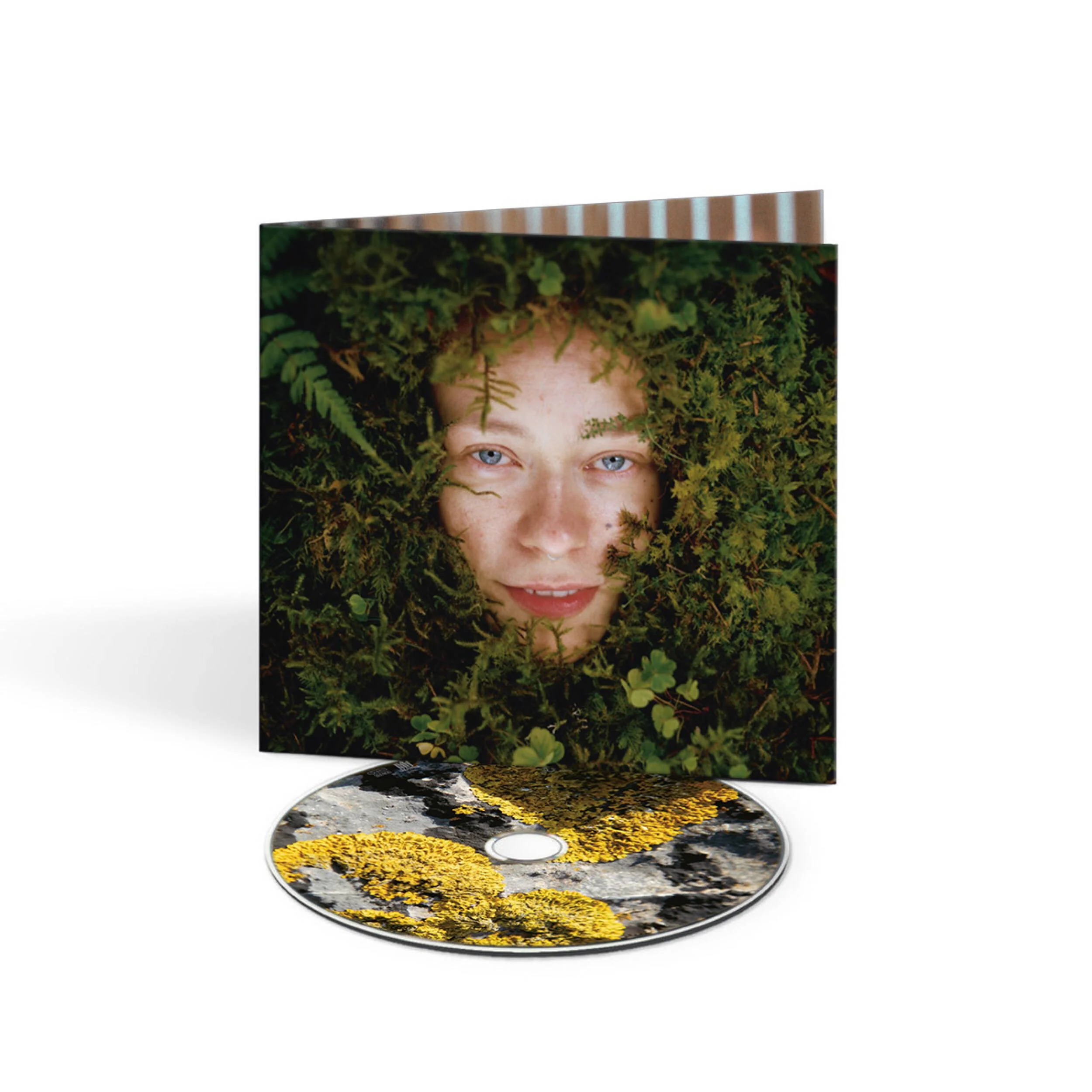 You and i are Earth - Image 4