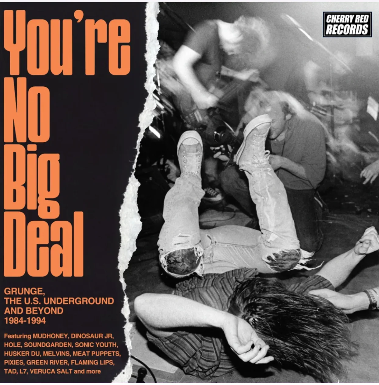 You’re No Big Deal - Grunge, The US Underground and Beyond 1984-1994 - Image 5